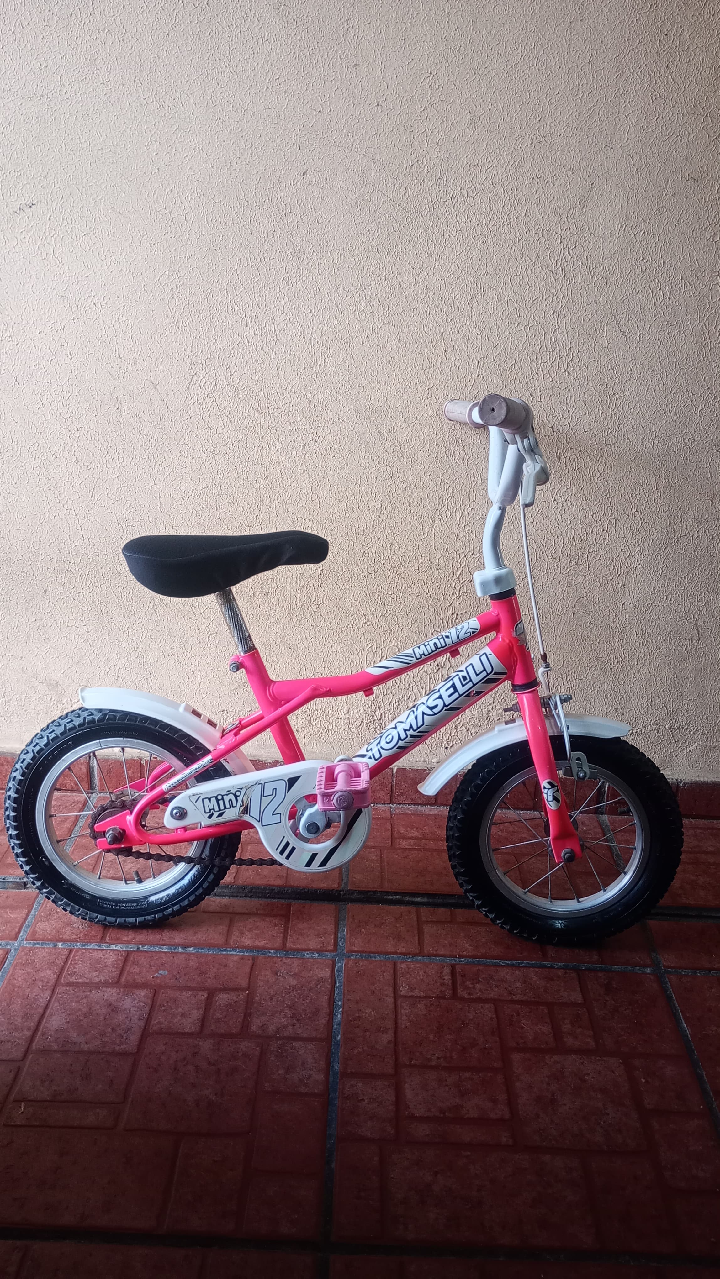 Bicicleta rodado 12 - imagen 1